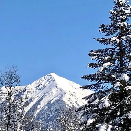 Апартаменты Ski Bad Gastein *