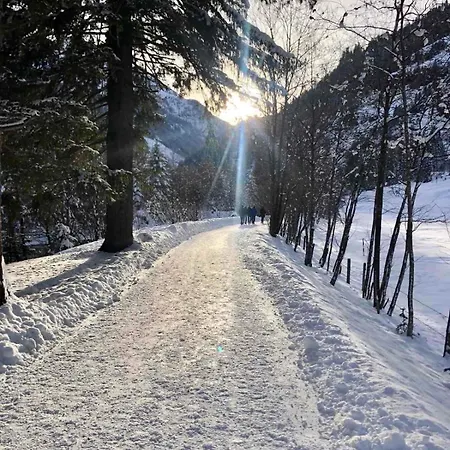 Ski Bad Gastein Апартаменты Бадгаштейн